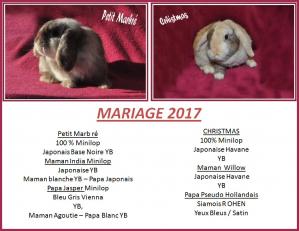 2 mariage 2017