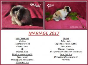 3 mariage ptit marbre feline 1