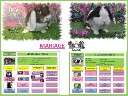 Mariage lucy et moogly