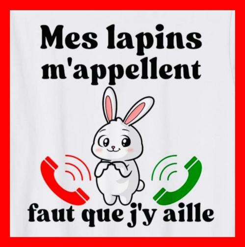 Mes lapins m appellent il faut que j y aille